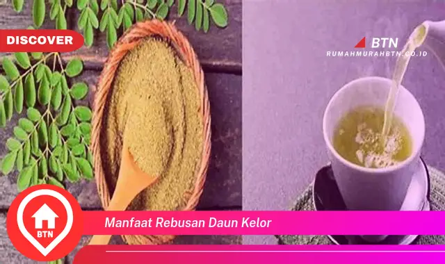 manfaat rebusan daun kelor