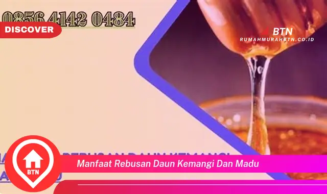 manfaat rebusan daun kemangi dan madu