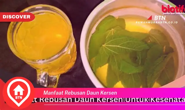 manfaat rebusan daun kersen