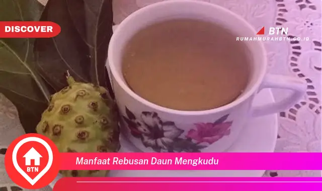 manfaat rebusan daun mengkudu