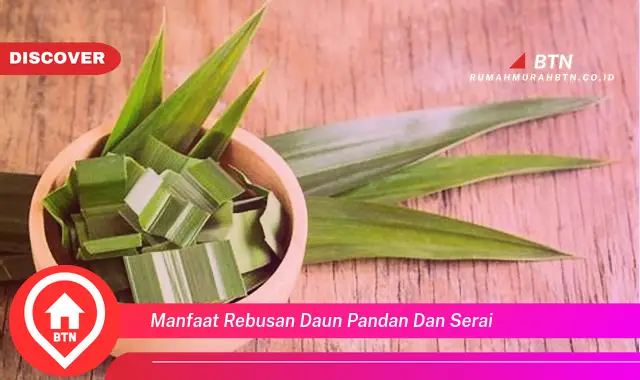 manfaat rebusan daun pandan dan serai