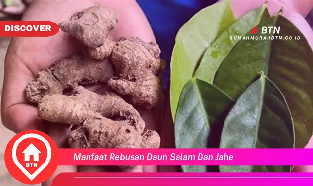 manfaat rebusan daun salam dan jahe