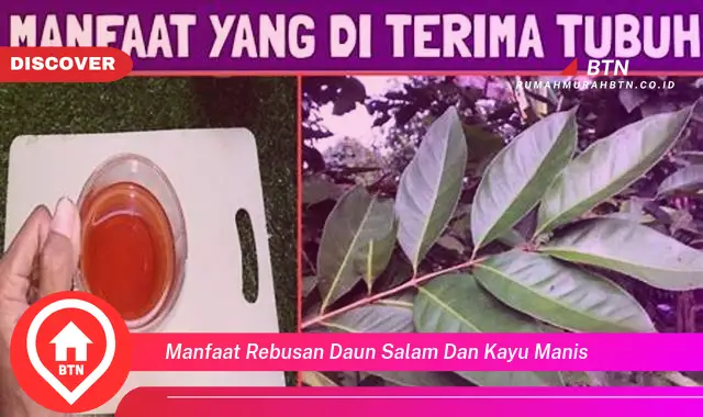 manfaat rebusan daun salam dan kayu manis