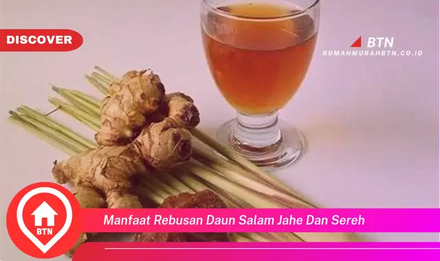 manfaat rebusan daun salam jahe dan sereh