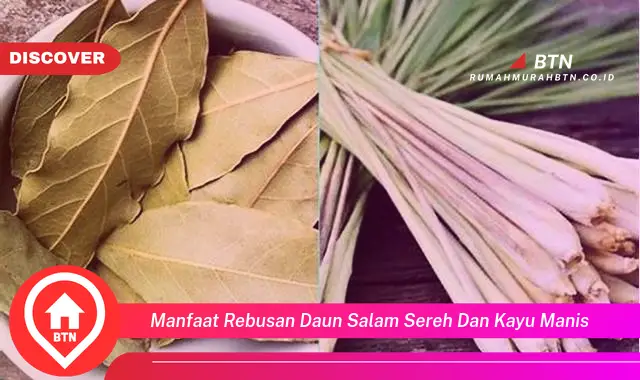 manfaat rebusan daun salam sereh dan kayu manis