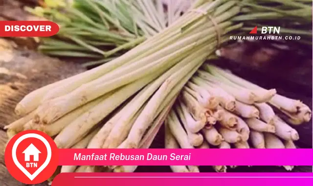 manfaat rebusan daun serai