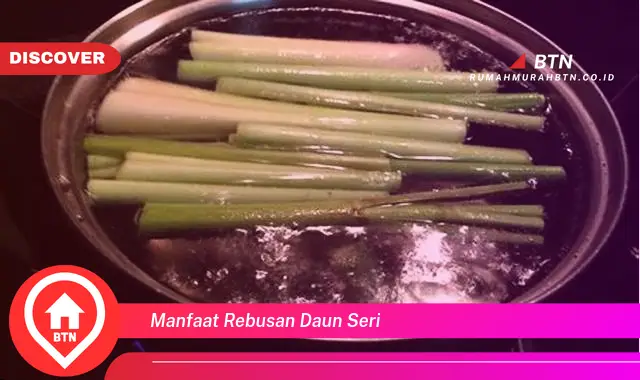 manfaat rebusan daun seri