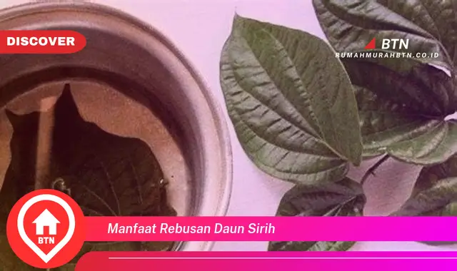 manfaat rebusan daun sirih