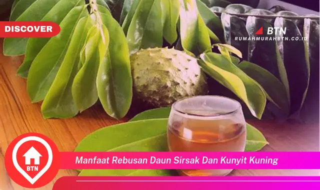 manfaat rebusan daun sirsak dan kunyit kuning