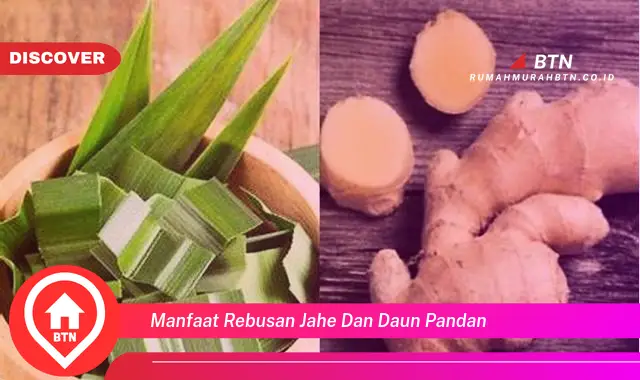 manfaat rebusan jahe dan daun pandan