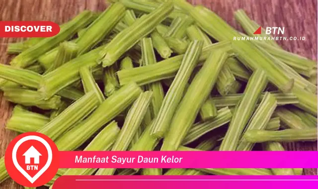 manfaat sayur daun kelor