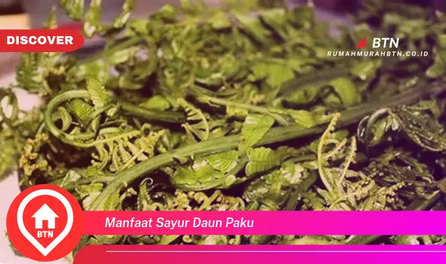 manfaat sayur daun paku