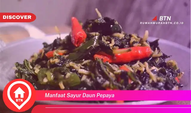 manfaat sayur daun pepaya