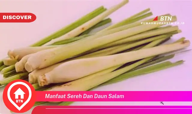 manfaat sereh dan daun salam