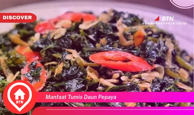 manfaat tumis daun pepaya