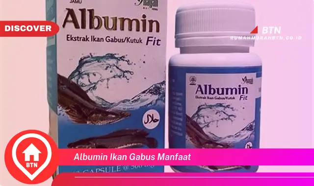 albumin ikan gabus manfaat