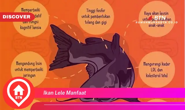 ikan lele manfaat