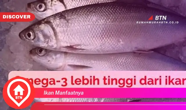 ikan manfaatnya