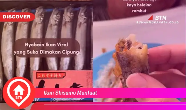 ikan shisamo manfaat