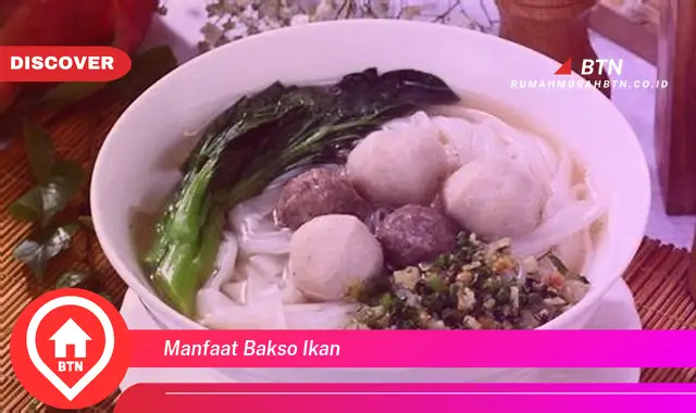 manfaat bakso ikan