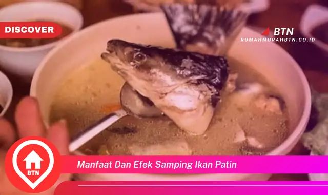 manfaat dan efek samping ikan patin