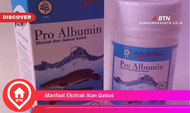 manfaat ekstrak ikan gabus