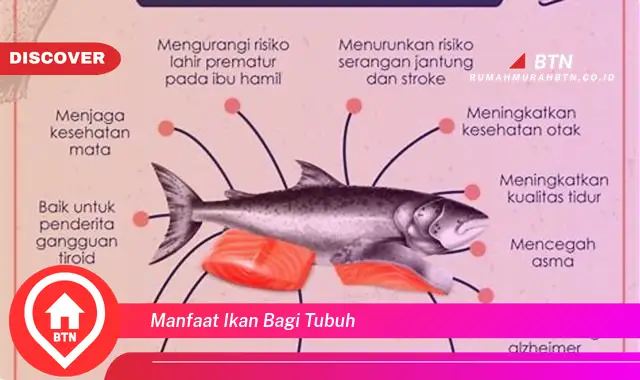 manfaat ikan bagi tubuh