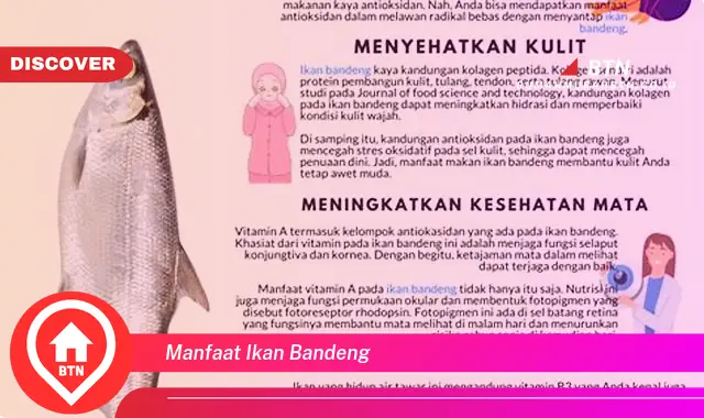 manfaat ikan bandeng