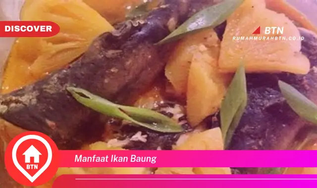 manfaat ikan baung