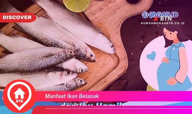 manfaat ikan belanak