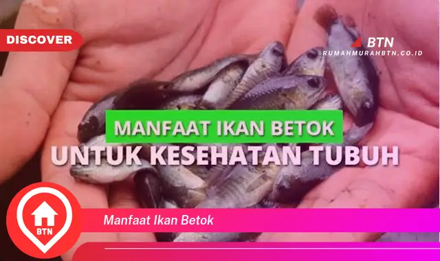 manfaat ikan betok