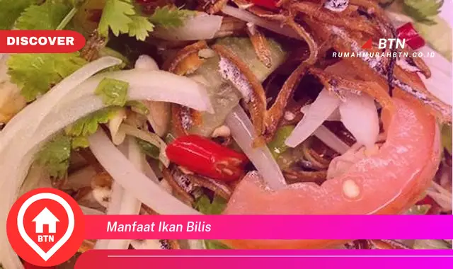 manfaat ikan bilis