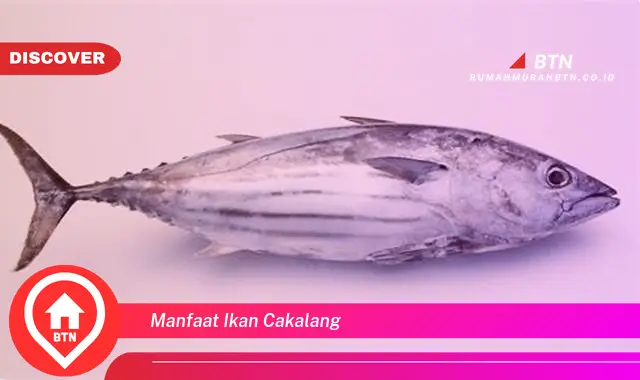 manfaat ikan cakalang