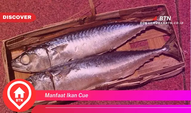 manfaat ikan cue