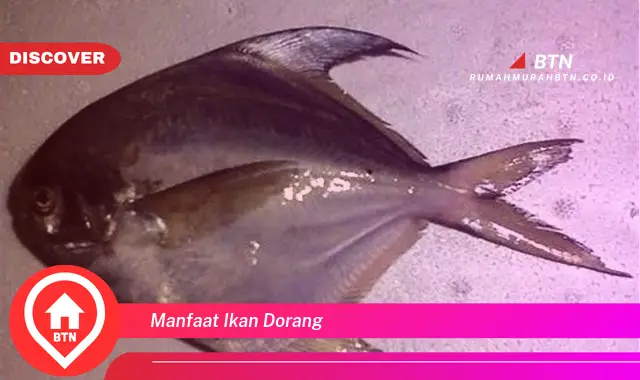 manfaat ikan dorang