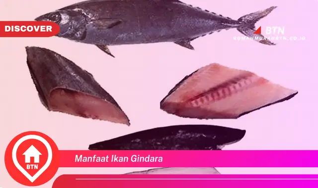 manfaat ikan gindara