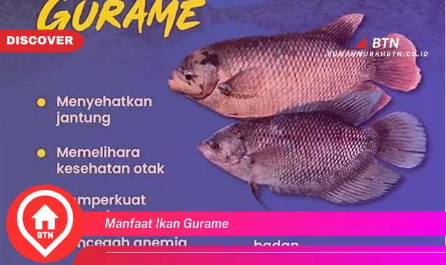 manfaat ikan gurame