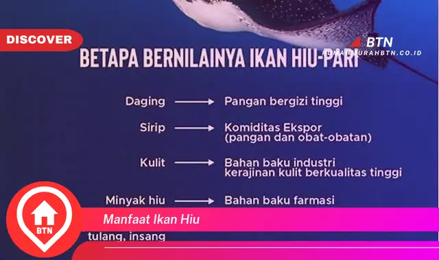 manfaat ikan hiu