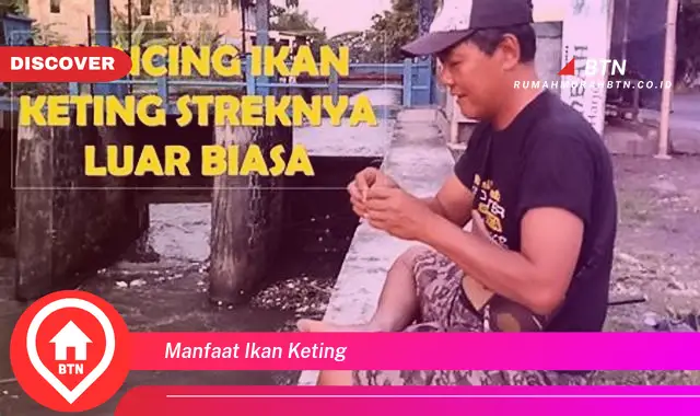 manfaat ikan keting