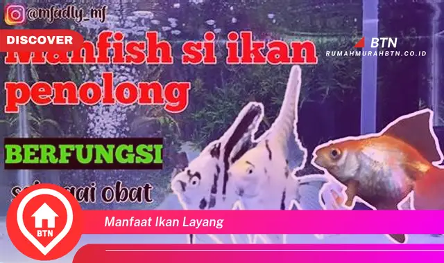 manfaat ikan layang