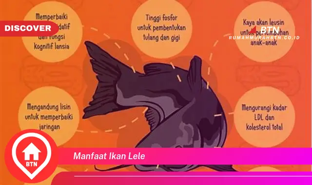 manfaat ikan lele