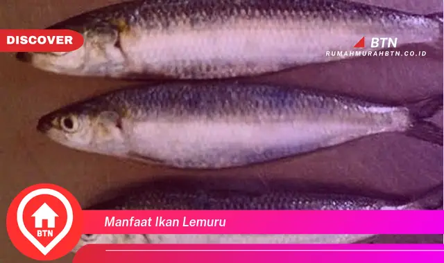 manfaat ikan lemuru