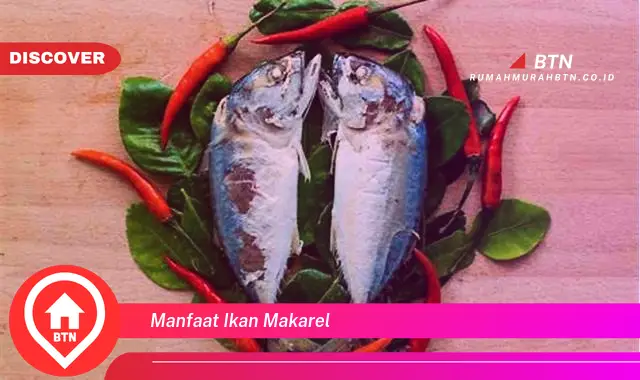 manfaat ikan makarel