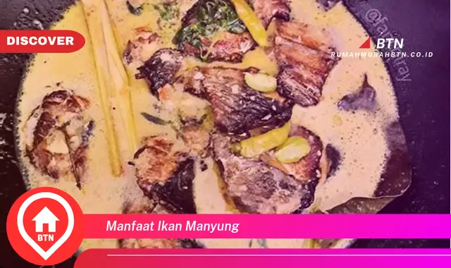 manfaat ikan manyung