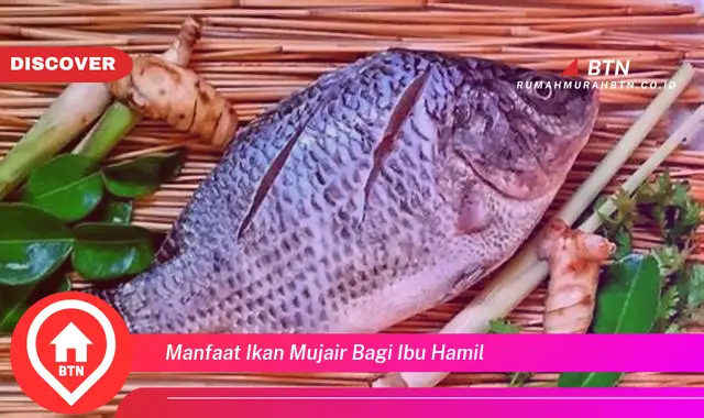 manfaat ikan mujair bagi ibu hamil