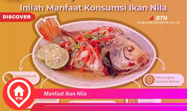 manfaat ikan nila