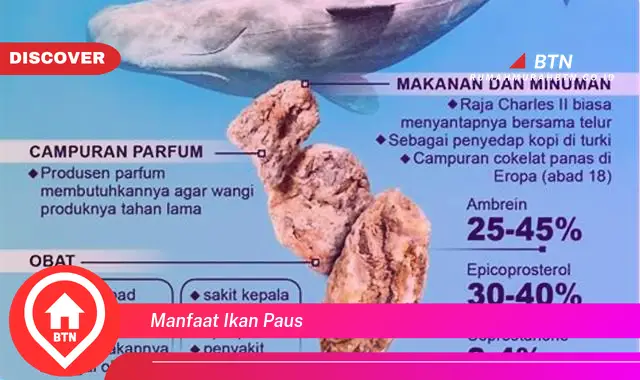 manfaat ikan paus