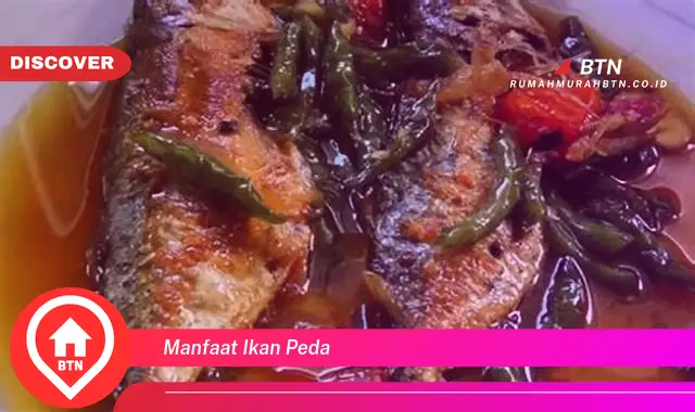 manfaat ikan peda