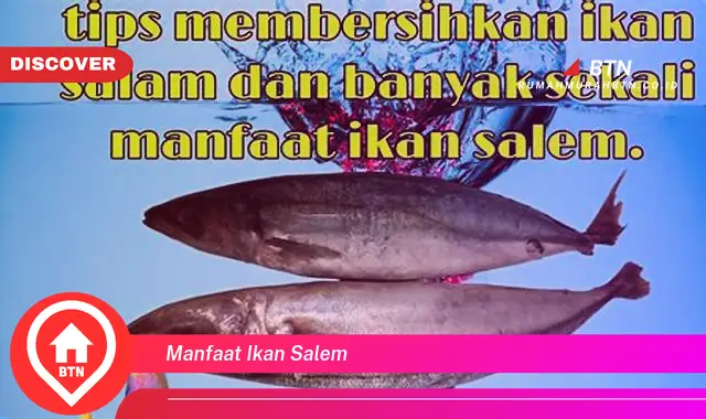 manfaat ikan salem