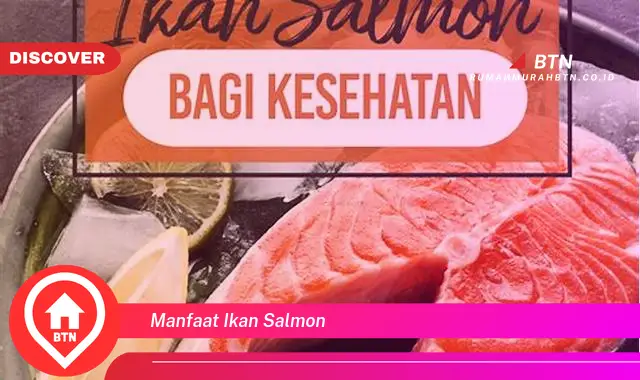 manfaat ikan salmon